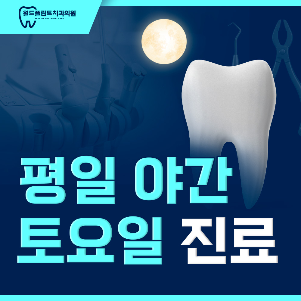 평일 야간/토요일 진료